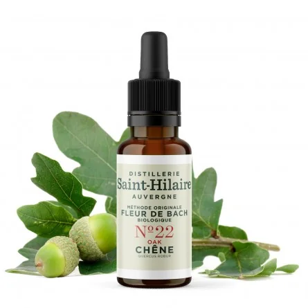 Fleur de bach chene n°22 bio (oak) - 1